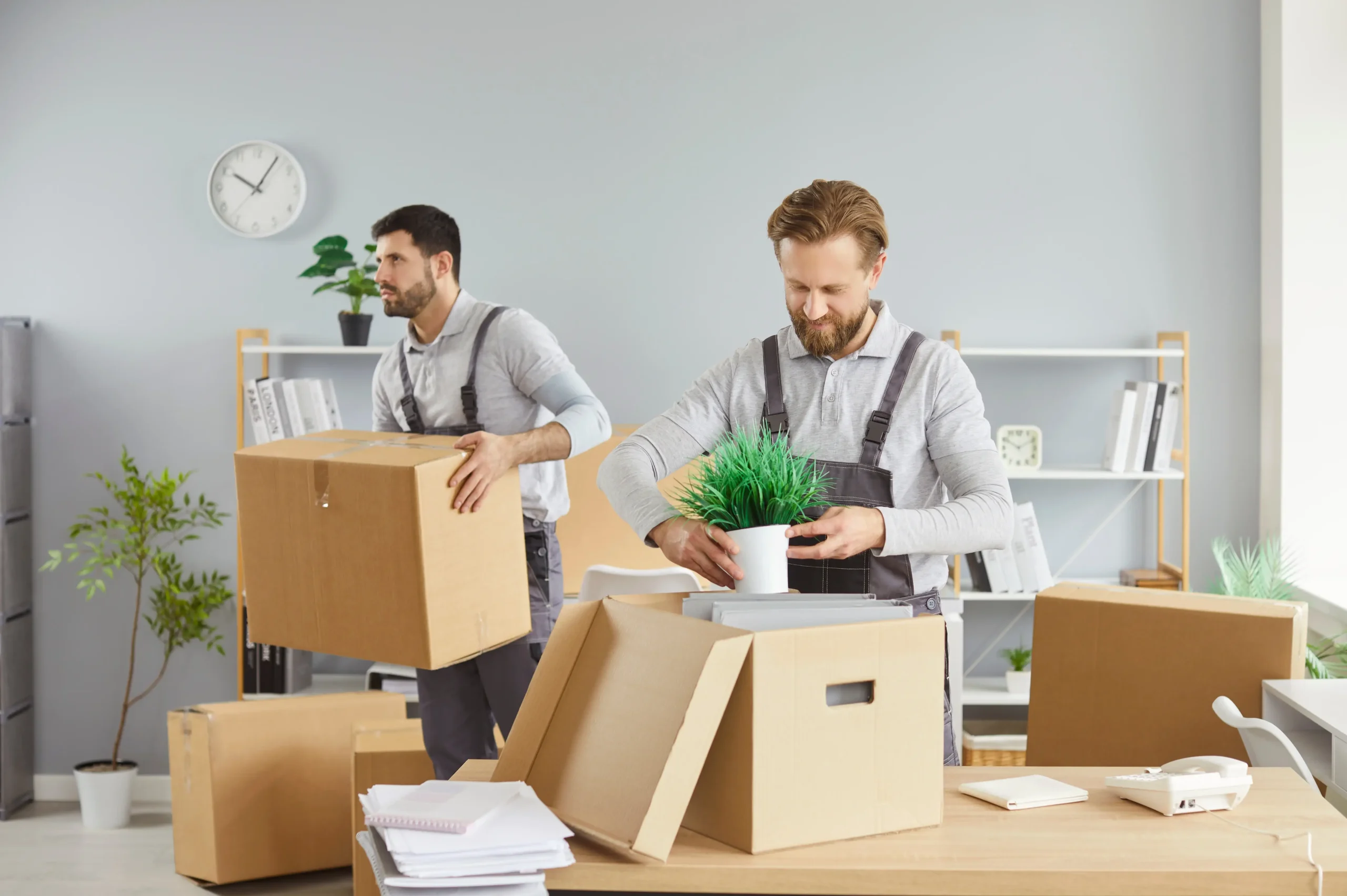 Organizing Services